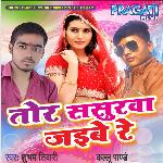 Shubham Tiwari Songs MP3 Download